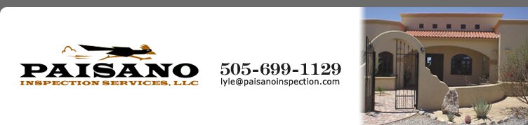 Paisano Inspection Services